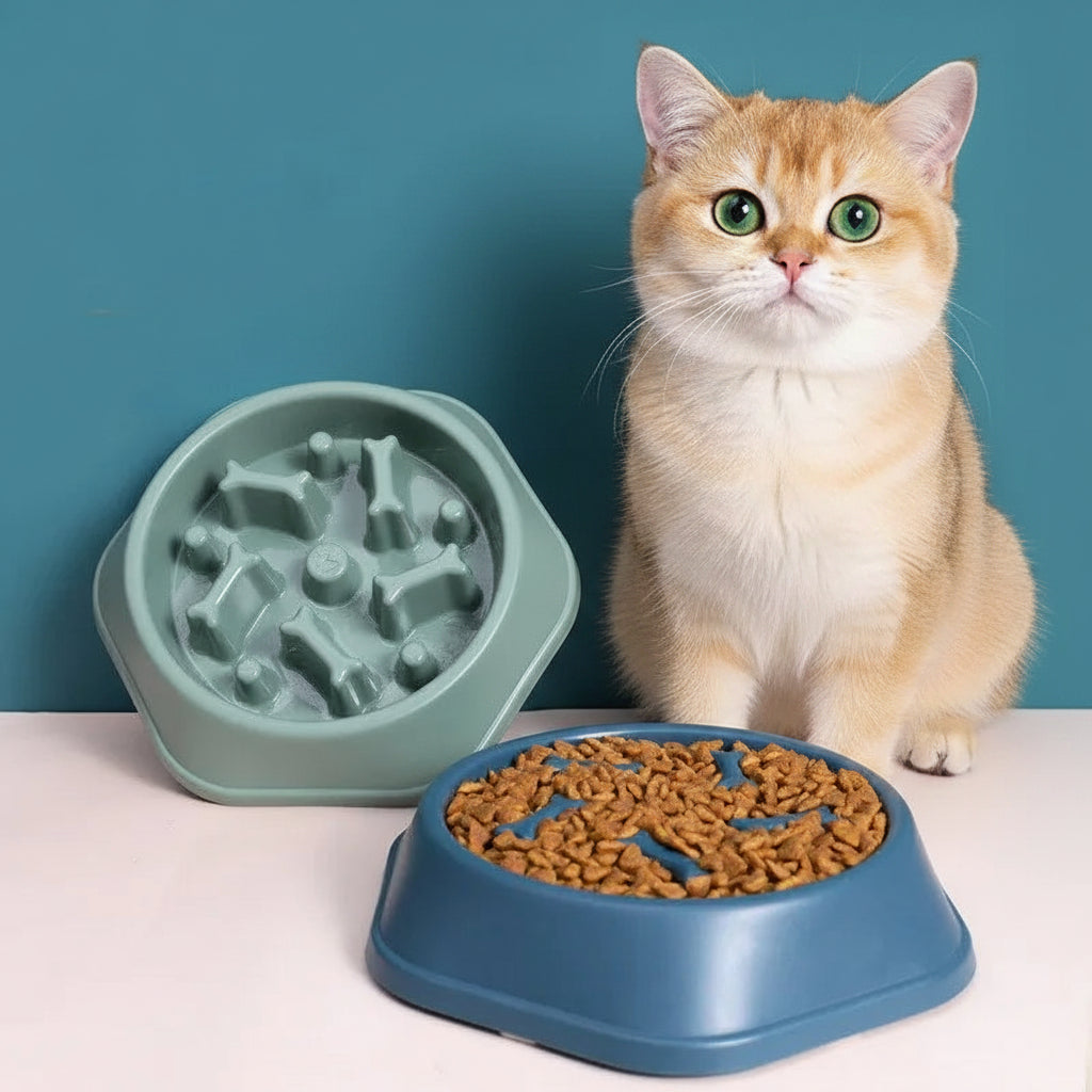 Slow Feeder Pet Bowl Anti-Choking Design for Dogs & Cats