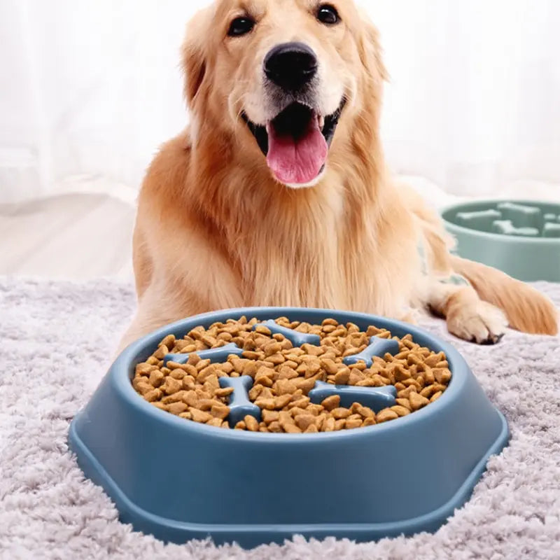 Slow Feeder Pet Bowl Anti-Choking Design for Dogs & Cats