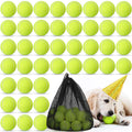 30-Pack Dog Tennis Balls 2.5 Inch — Launcher Compatible with Mesh Storage Bag