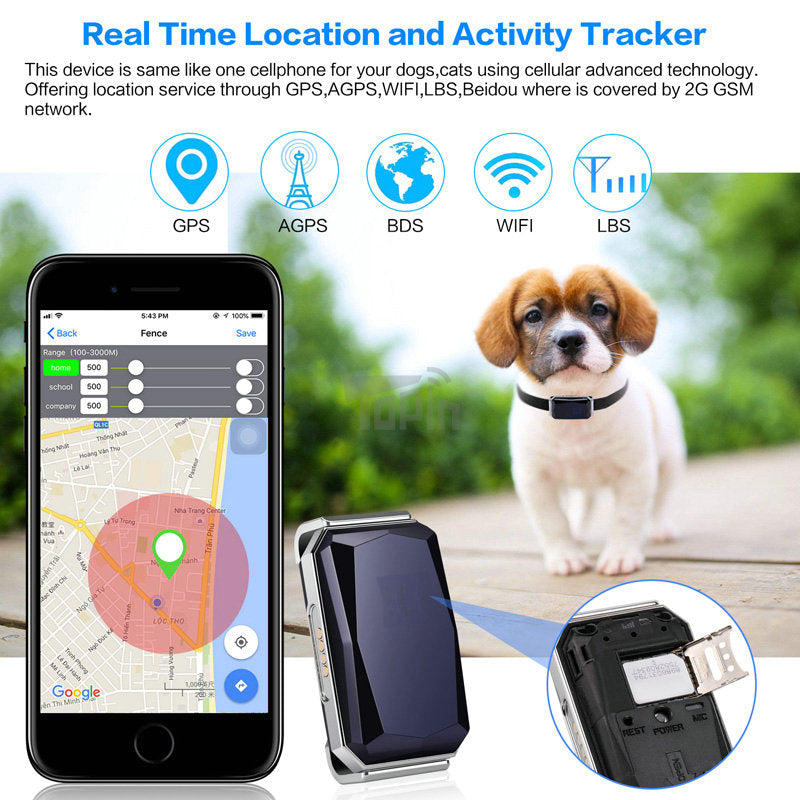 GPS Pet Tracker Collar — Real-Time Location via App